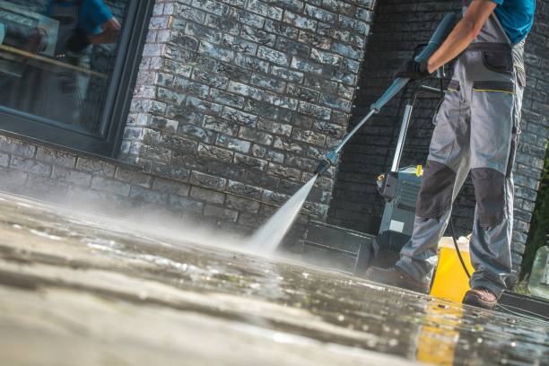 Best Graffiti Removal  in Bellview, FL