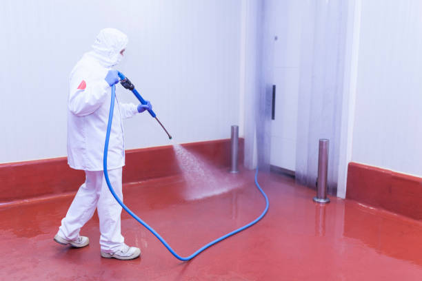 Best Sidewalk and Walkway Cleaning  in Bellview, FL