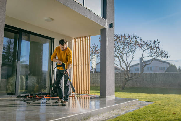 Best Dumpster Area Cleaning  in Bellview, FL