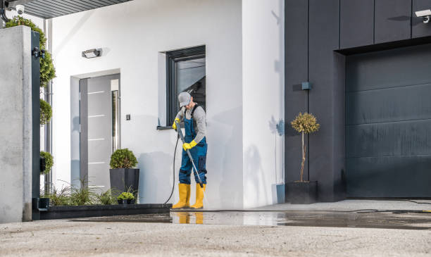 Best Boat and Dock Cleaning  in Bellview, FL