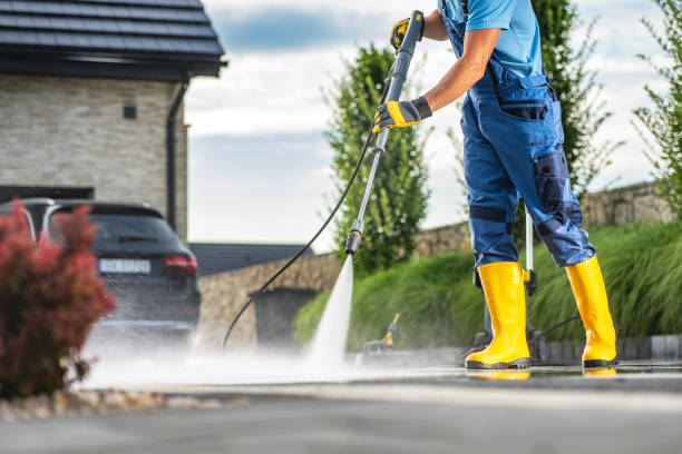 Best House Exterior Washing  in Bellview, FL