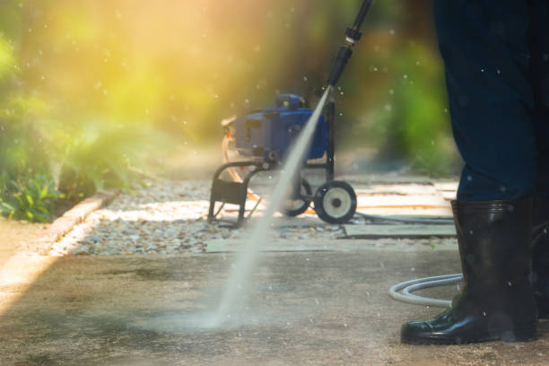 Best Solar Panel Cleaning  in Bellview, FL
